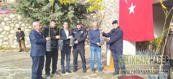 Ceviz fidesi dağırıldı