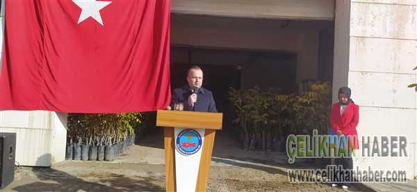Ceviz fidesi dağırıldı