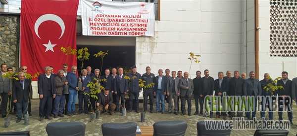 Ceviz fidesi dağırıldı