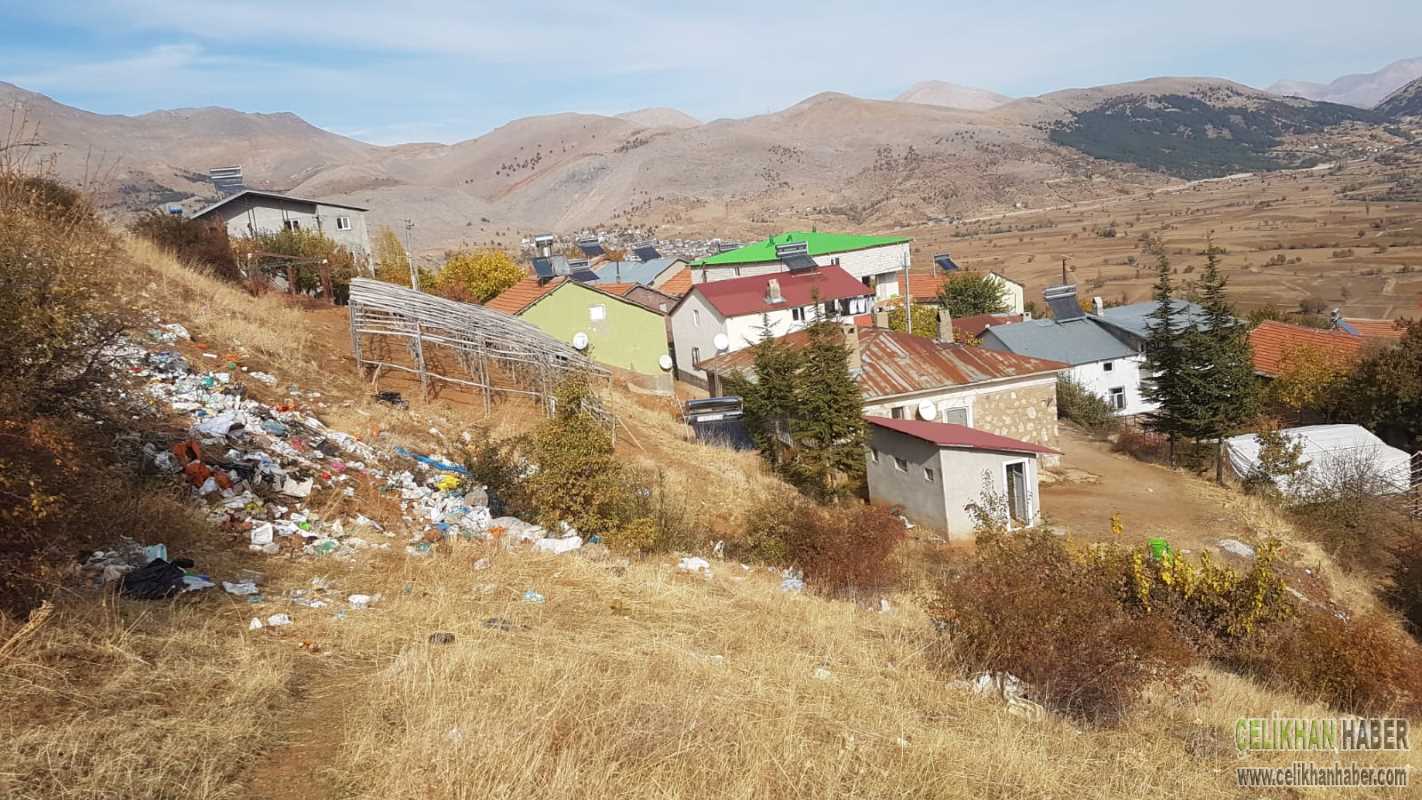 aktas karantına