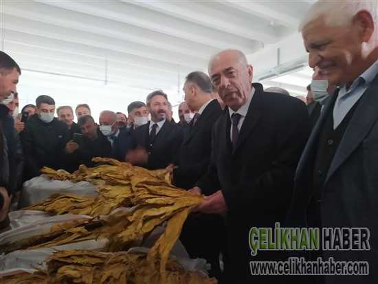 Kooperatif Tütün alımı