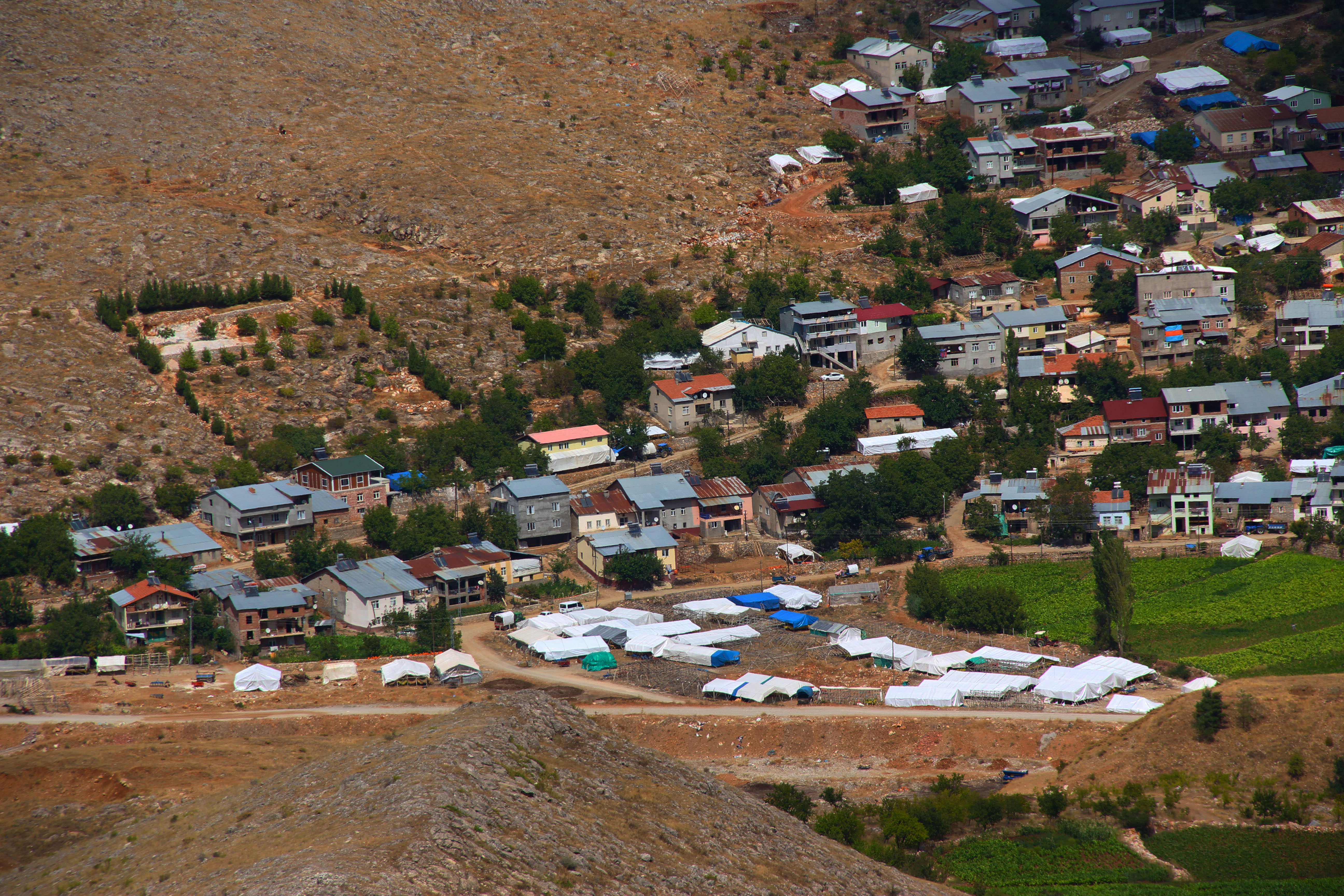 Çelikhanda tütün hasadı
