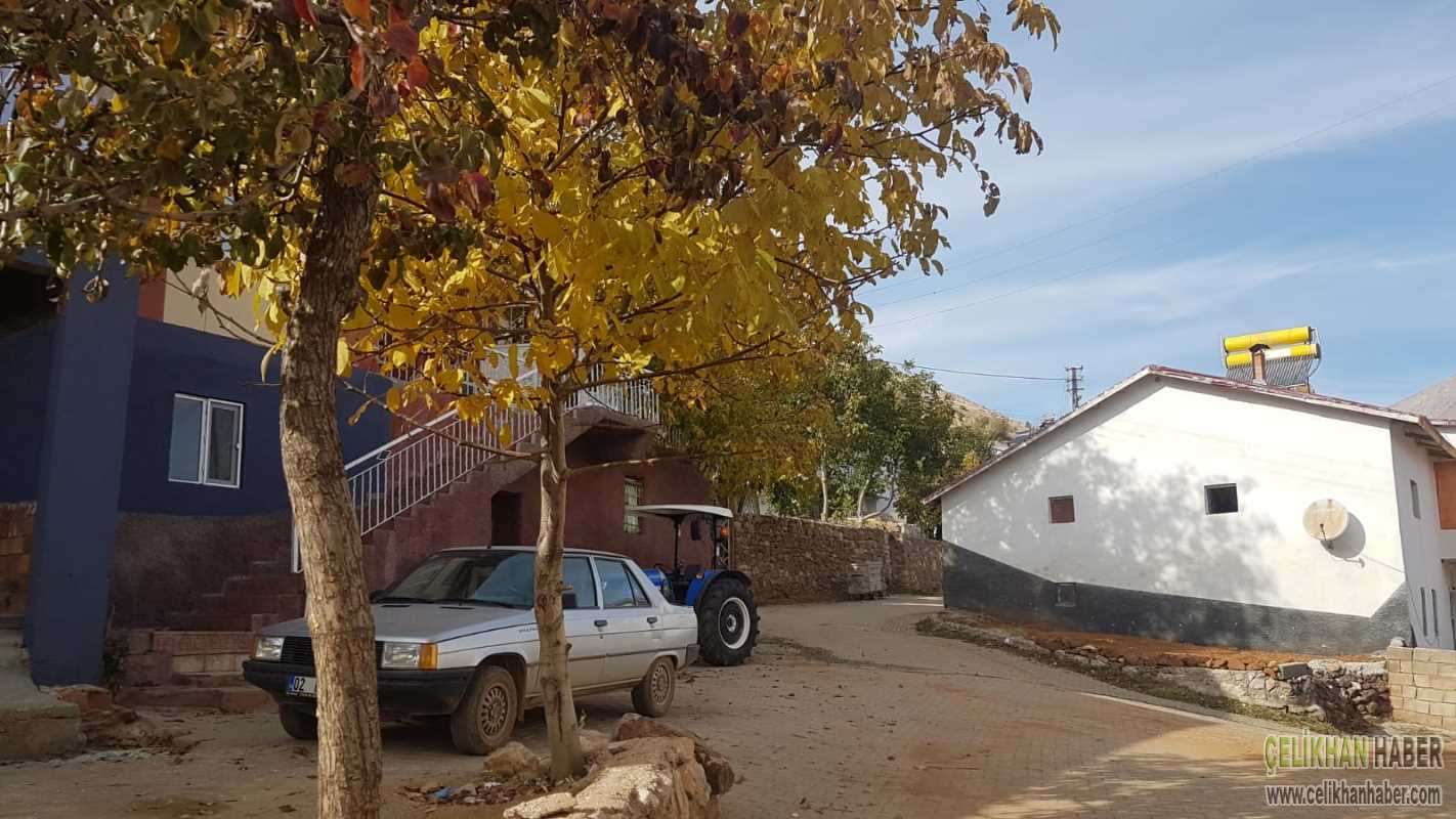 aktas karantına