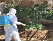 Karasineklere Karşı İlaçlama Çalışması Yapılıyor