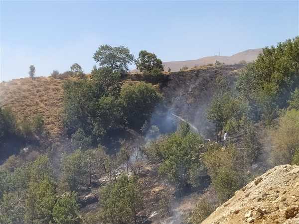 Çelikhan'da Korkutan Orman Yangını