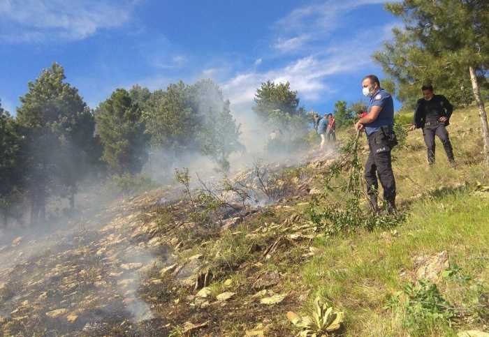 Çelikhan'da Orman Yangını Korkuttu