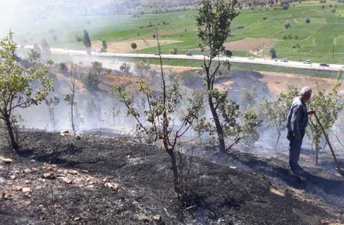 Pınarbaşı'nda Ormanlık Alanda Yangın